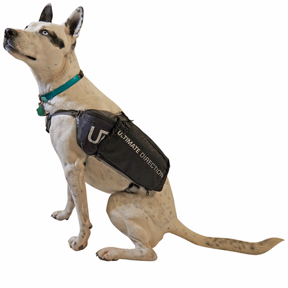 Dog Vest