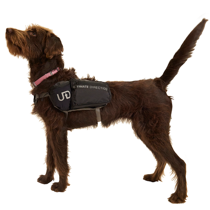 Dog Vest