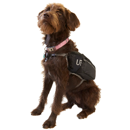 Dog Vest