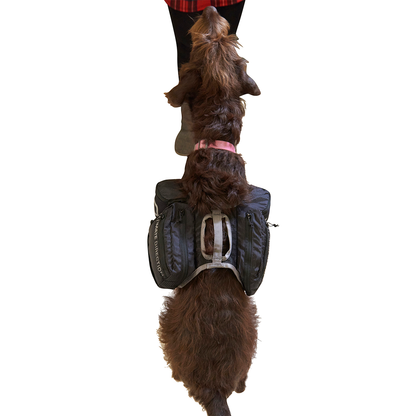 Dog Vest