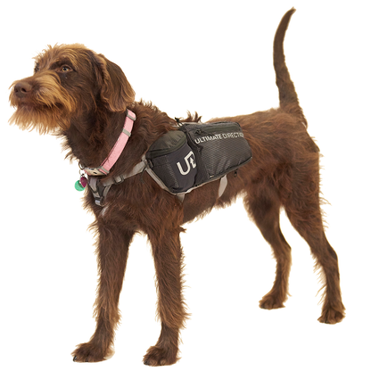 Dog Vest