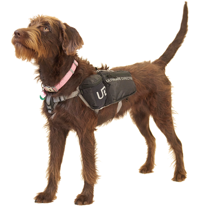 Dog Vest