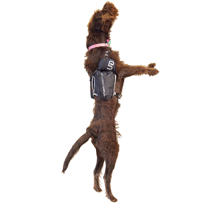 Dog Vest