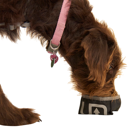 Dog Vest