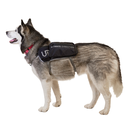 Dog Vest