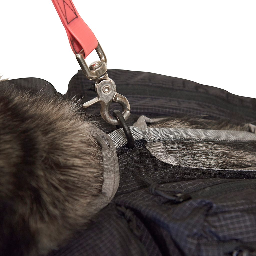 Dog Vest