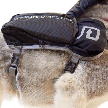 Dog Vest