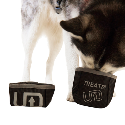 Dog Vest