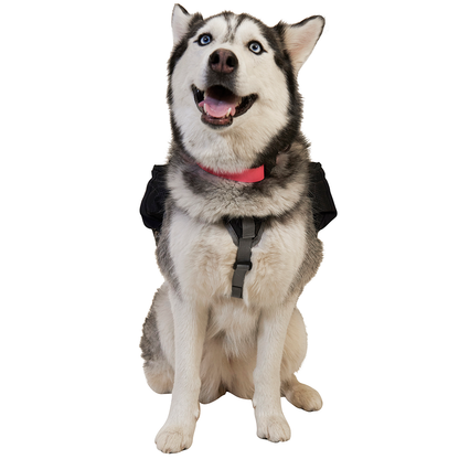 Dog Vest