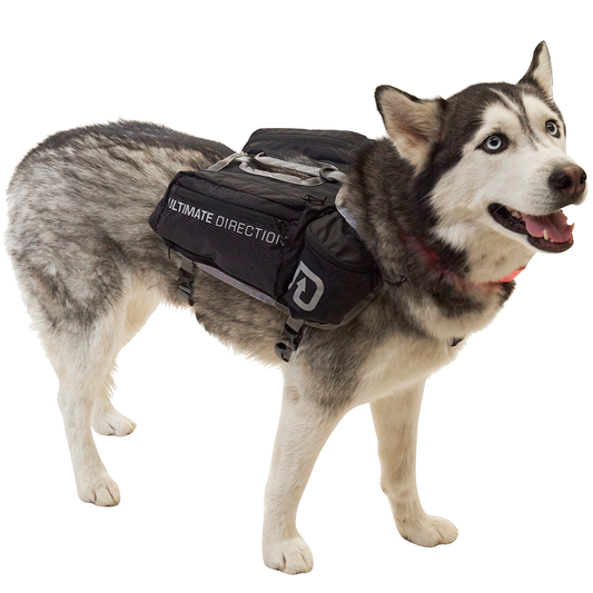 Dog Vest